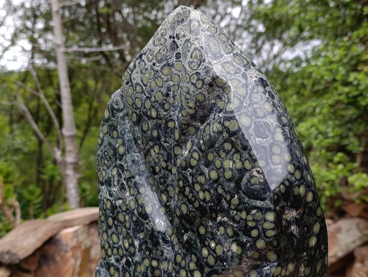 Hand Made XXL Stromatolite Standing Leaf Sculpture x 1 From Mahajanga, Madagascar