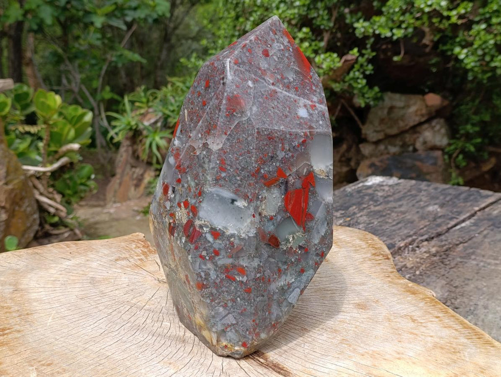 Polished XL Bloodstone with Pyrite Display Piece x 1 From Swaziland