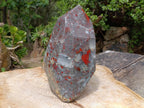 Polished XL Bloodstone with Pyrite Display Piece x 1 From Swaziland