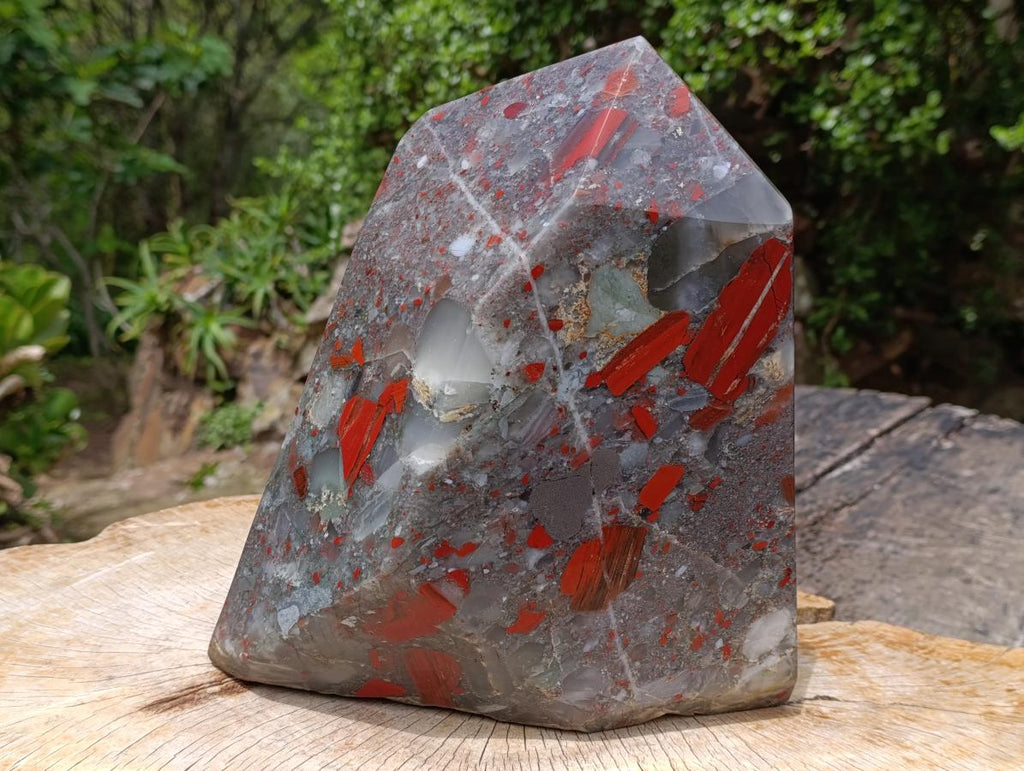 Polished XL Bloodstone with Pyrite Display Piece x 1 From Swaziland