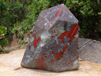 Polished XL Bloodstone with Pyrite Display Piece x 1 From Swaziland