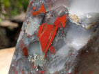 Polished XL Bloodstone with Pyrite Display Piece x 1 From Swaziland