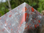 Polished XL Bloodstone with Pyrite Display Piece x 1 From Swaziland