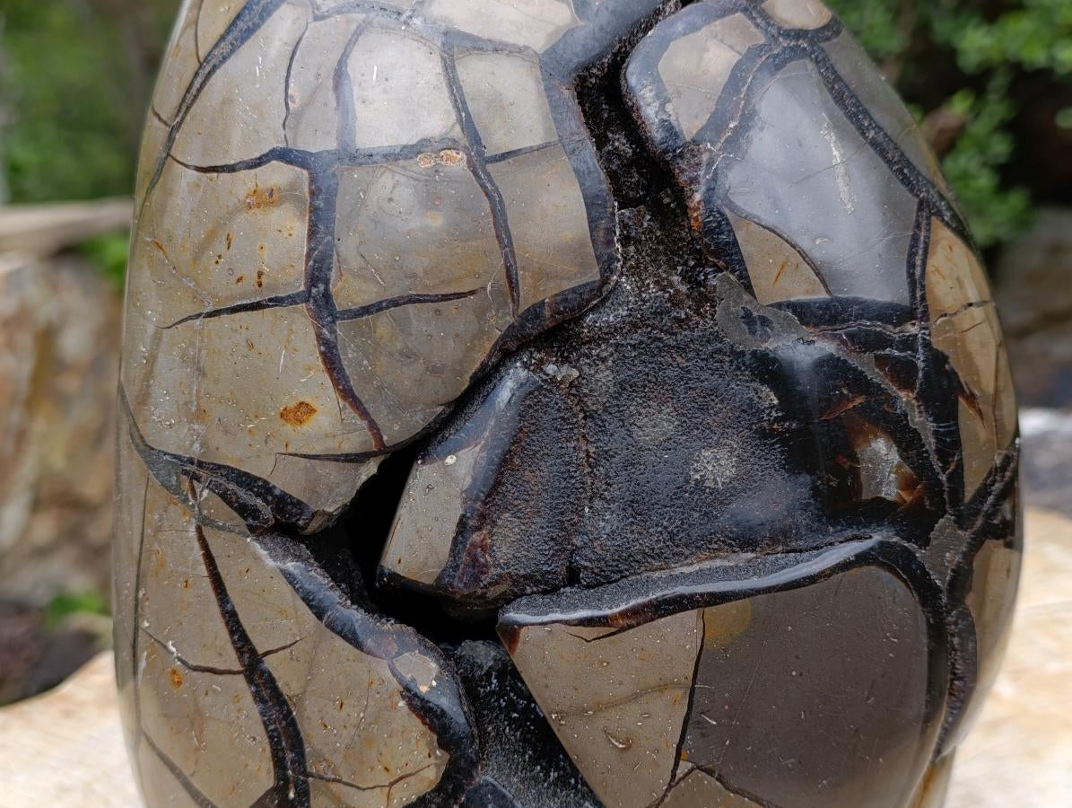 Polished XXXL Septerye Sauvage "Dragons Egg" With Removable Cap x 1 From Mahajanga, Madagascar