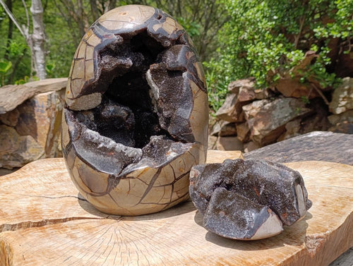 Polished XXXL Septerye Sauvage "Dragons Egg" With Removable Cap x 1 From Mahajanga, Madagascar