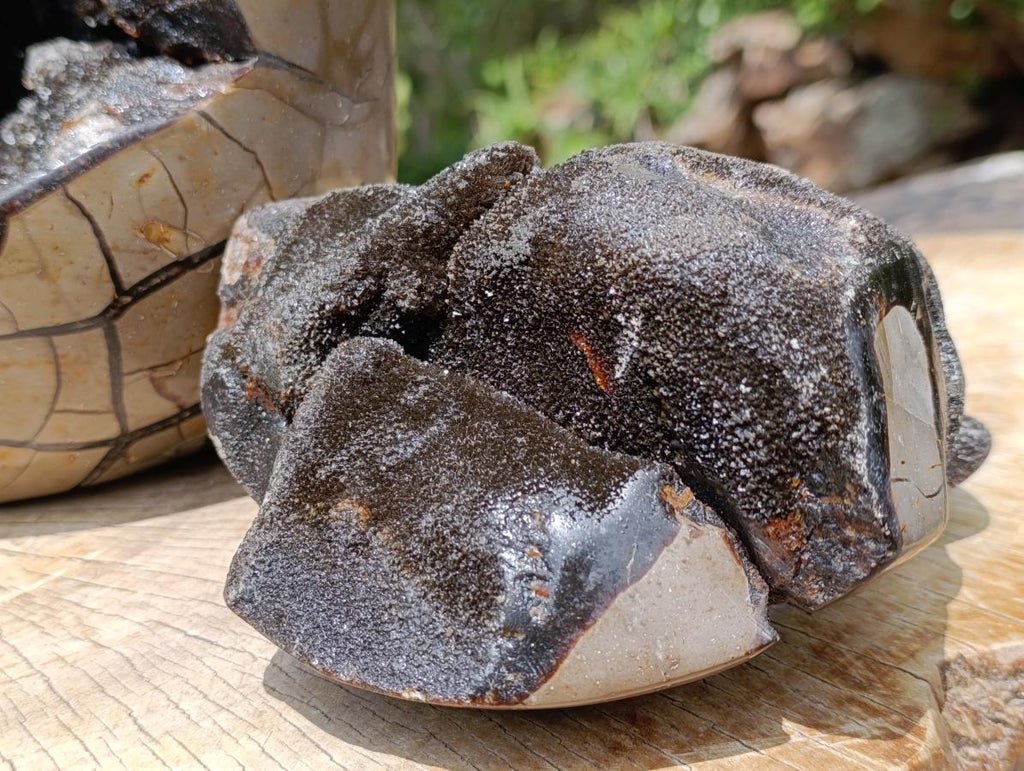 Polished XXXL Septerye Sauvage "Dragons Egg" With Removable Cap x 1 From Mahajanga, Madagascar