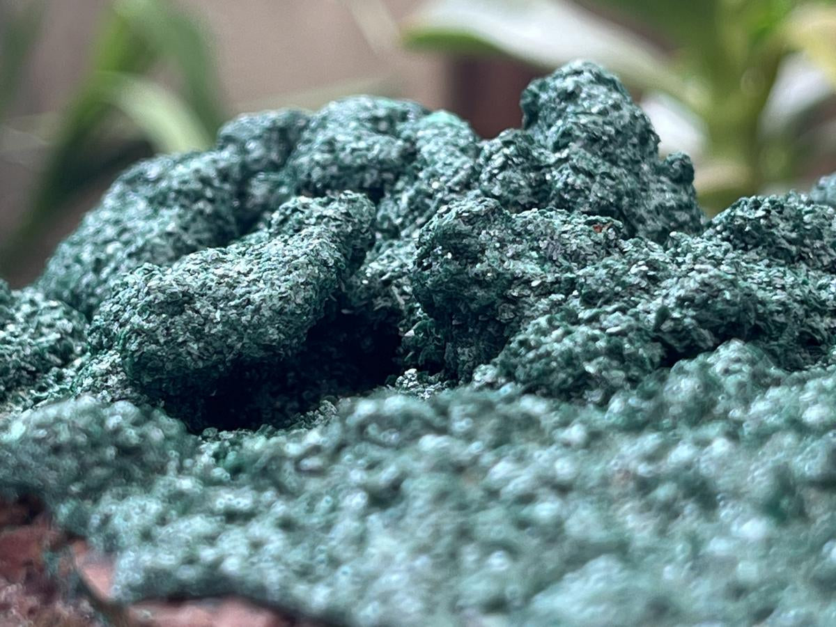 Natural Crystalline Malachite Plate Cabinet Specimen x 1 From Kolwezi, Congo