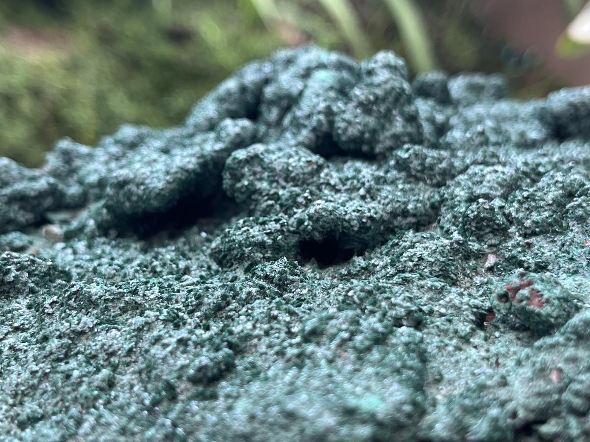 Natural Crystalline Malachite Plate Cabinet Specimen x 1 From Kolwezi, Congo