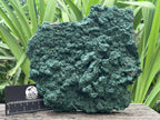 Natural Crystalline Malachite Plate Cabinet Specimen x 1 From Kolwezi, Congo
