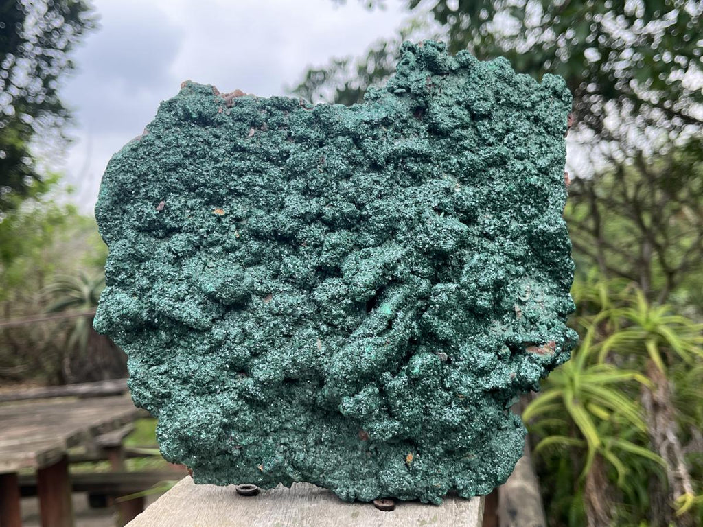 Natural Crystalline Malachite Plate Cabinet Specimen x 1 From Kolwezi, Congo
