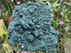 Natural Crystalline Malachite Plate Cabinet Specimen x 1 From Kolwezi, Congo