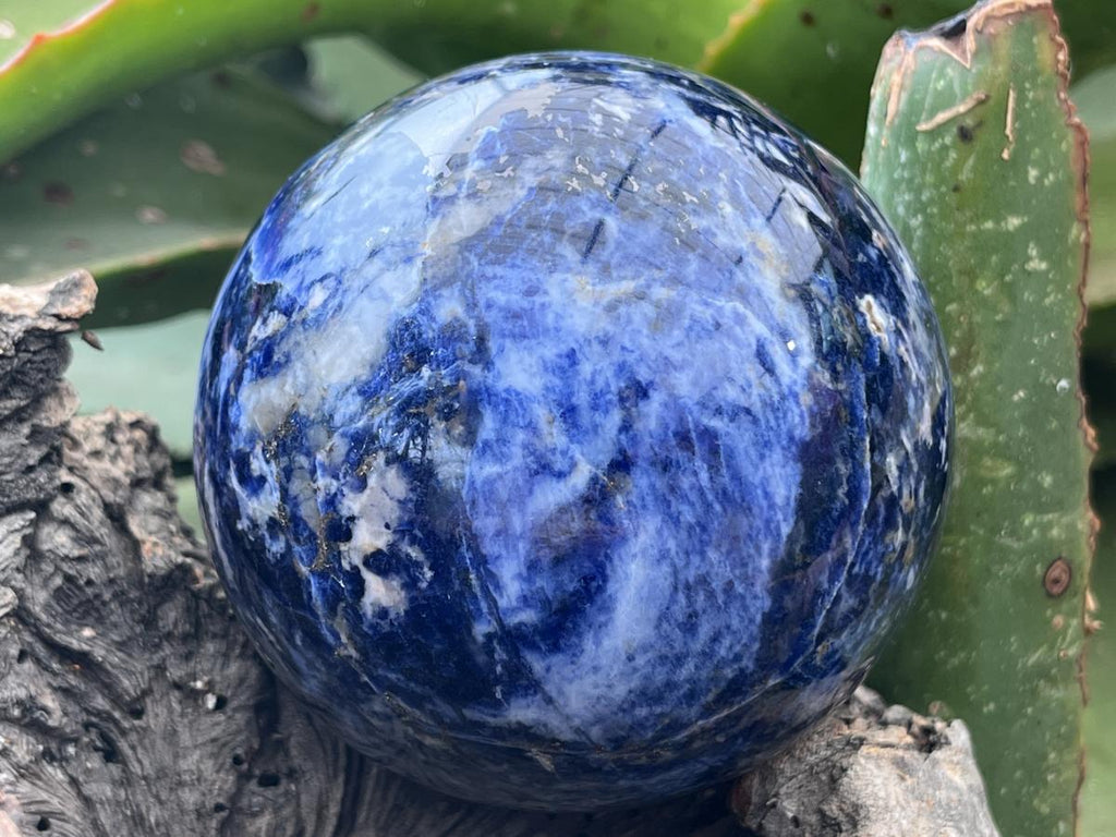 Polished Blue Sodalite Gemstone Sphere with Rose Wood Stand x 1 From Kunene River, Namibia
