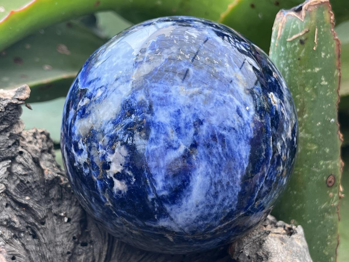 Polished Blue Sodalite Gemstone Sphere with Rose Wood Stand x 1 From Kunene River, Namibia