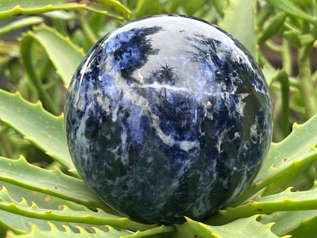 Polished Blue Sodalite Gemstone Sphere with Rose Wood Stand x 1 From Kunene River, Namibia
