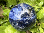 Polished Blue Sodalite Gemstone Sphere with Rose Wood Stand x 1 From Kunene River, Namibia