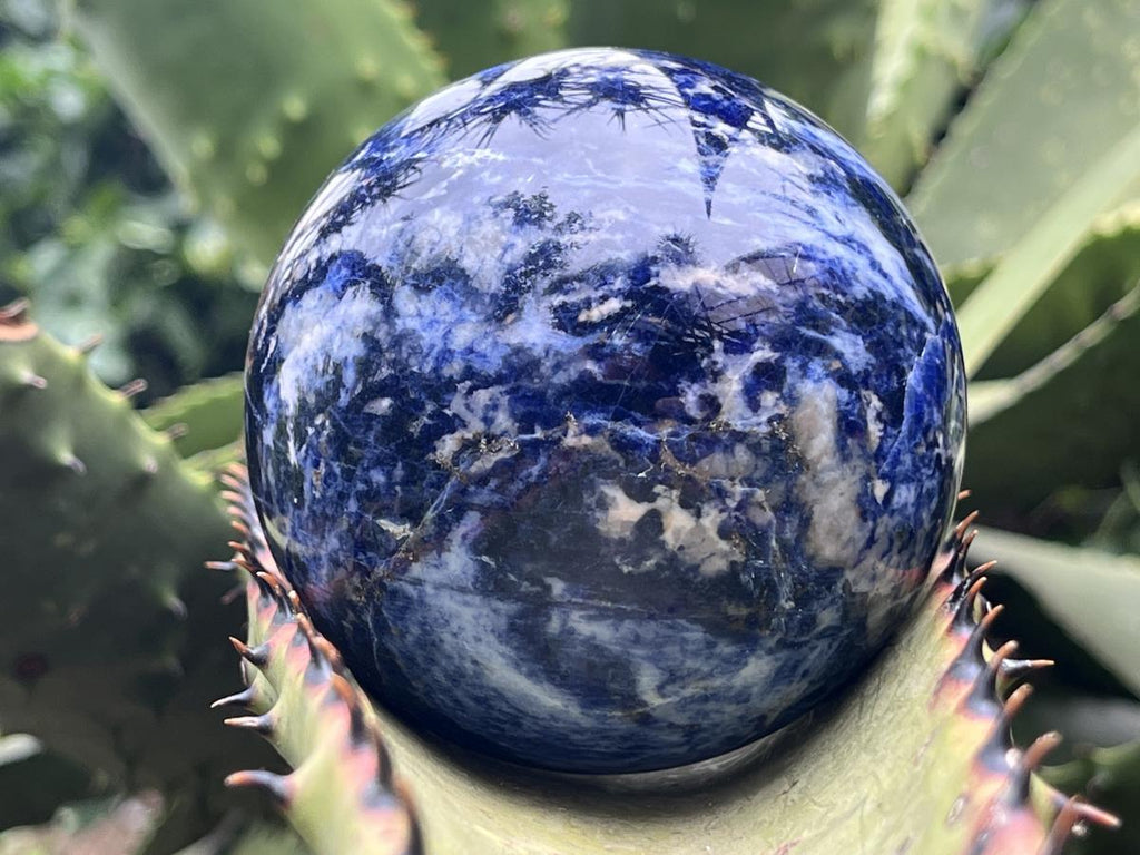 Polished Blue Sodalite Gemstone Sphere with Rose Wood Stand x 1 From Kunene River, Namibia