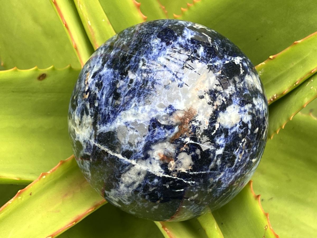 Polished Blue Sodalite Gemstone Sphere with Rose Wood Stand x 1 From Kunene River, Namibia