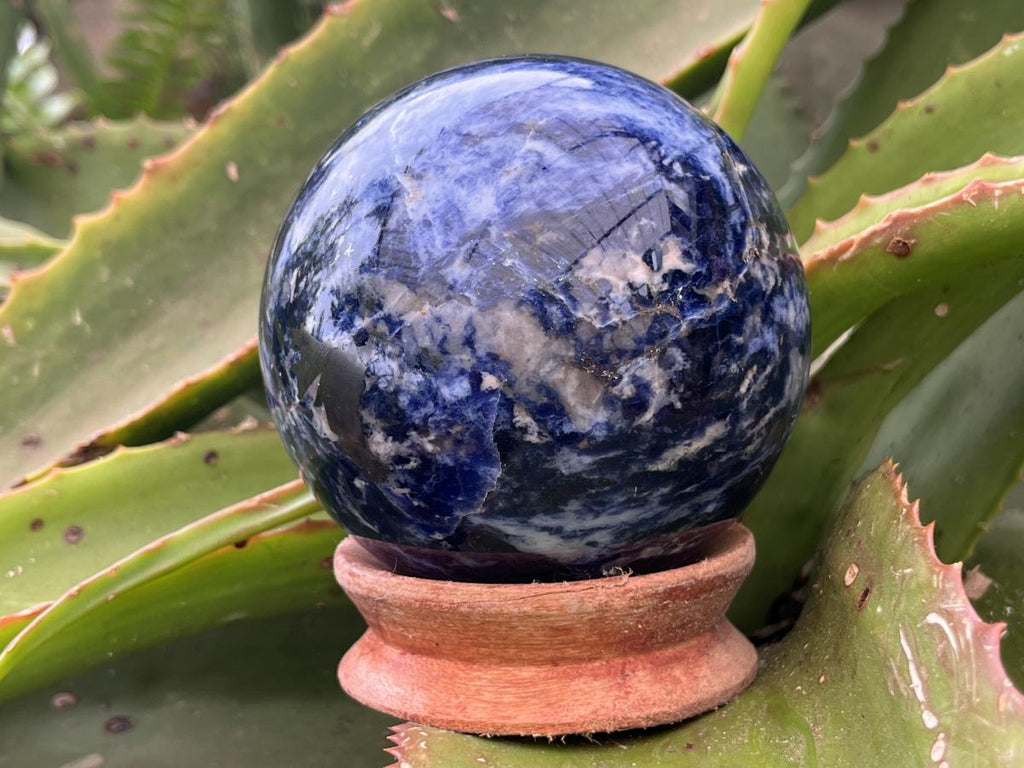Polished Blue Sodalite Gemstone Sphere with Rose Wood Stand x 1 From Kunene River, Namibia