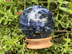 Polished Blue Sodalite Gemstone Sphere with Rose Wood Stand x 1 From Kunene River, Namibia