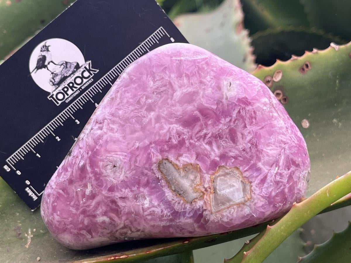 Polished Ultra Rare Cobaltion Calcite on Dolomite Matrix x 1 From Congo