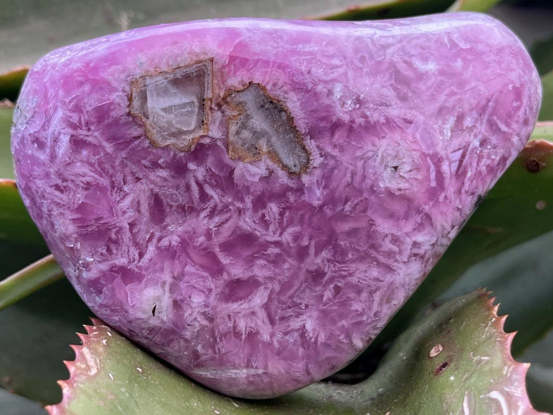 Polished Ultra Rare Cobaltion Calcite on Dolomite Matrix x 1 From Congo