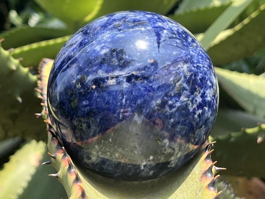 Polished Deep Princess Blue Sodalite Sphere x 1 From Kunene, Namibia