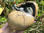 Hand Made Septerye Sauvage Dragon's Egg with a FIMO Clay Dragon Sculpture x 1 From Mahajanga, Madagascar