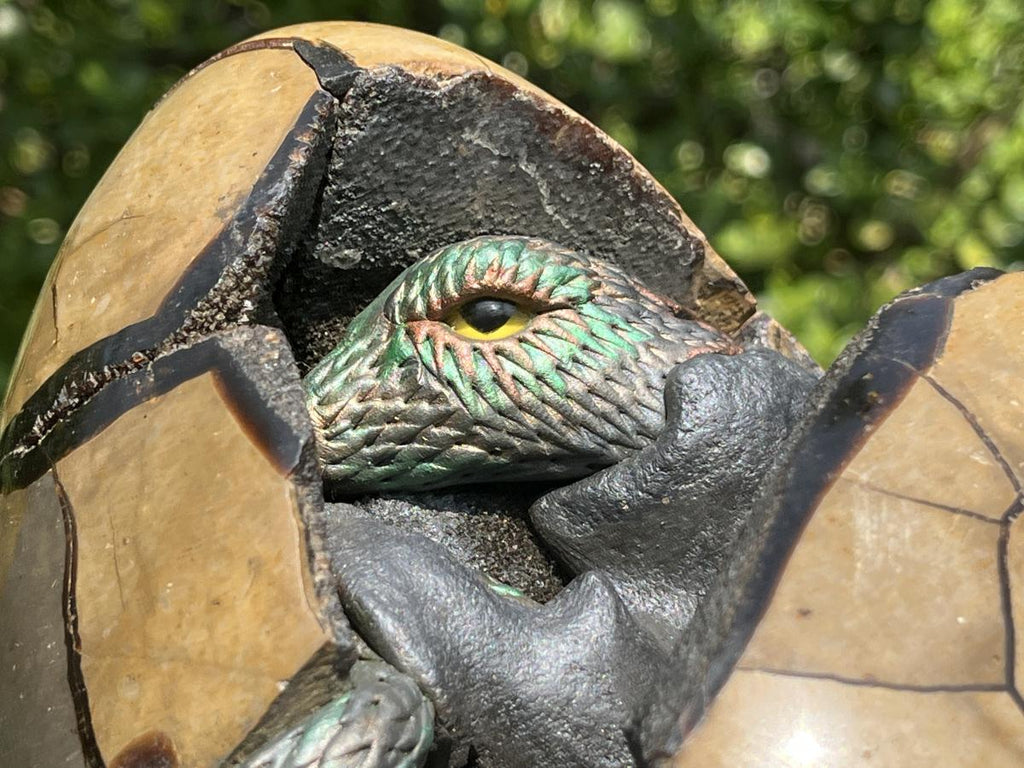 Hand Made Septerye Sauvage Dragon's Egg with a FIMO Clay Dragon Sculpture x 1 From Mahajanga, Madagascar