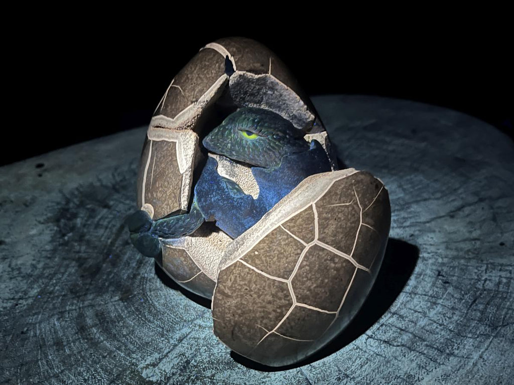 Hand Made Septerye Sauvage Dragon's Egg with a FIMO Clay Dragon Sculpture x 1 From Mahajanga, Madagascar