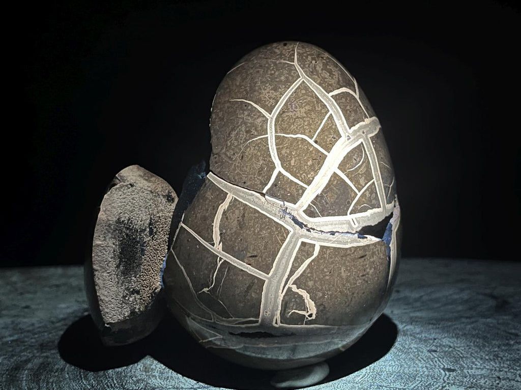 Hand Made Septerye Sauvage Dragon's Egg with a FIMO Clay Dragon Sculpture x 1 From Mahajanga, Madagascar