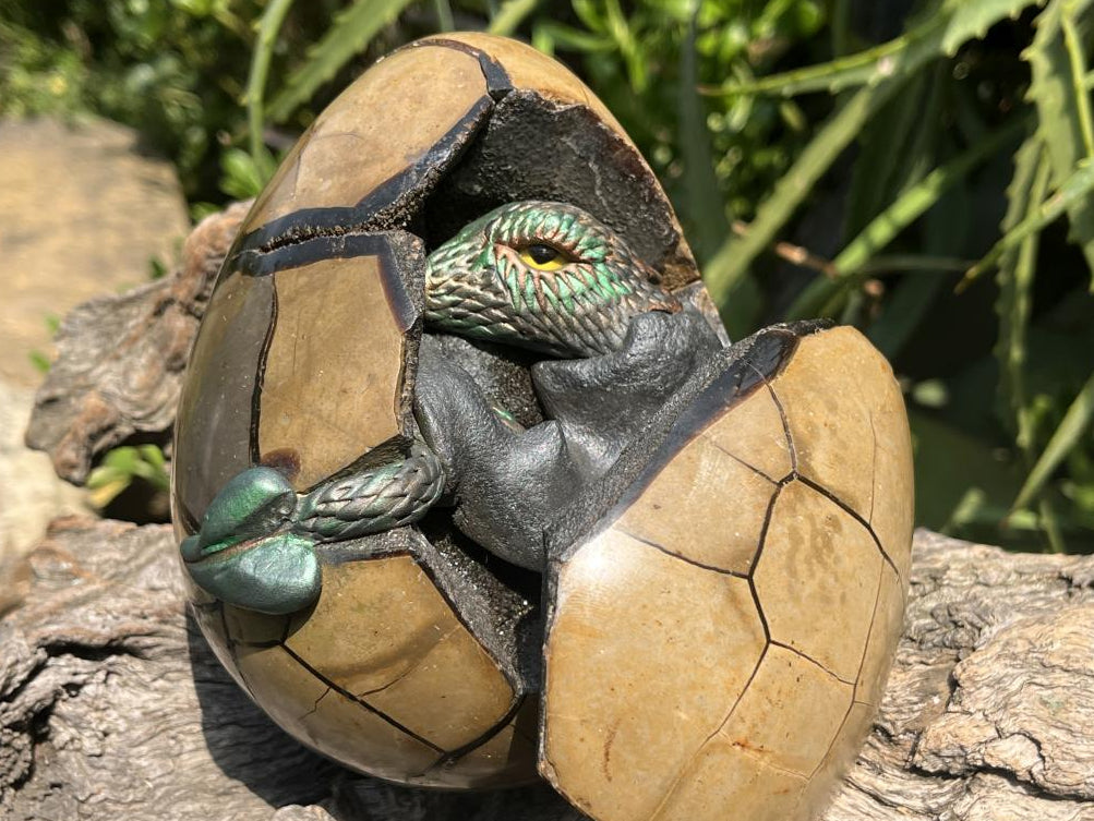 Hand Made Septerye Sauvage Dragon's Egg with a FIMO Clay Dragon Sculpture x 1 From Mahajanga, Madagascar
