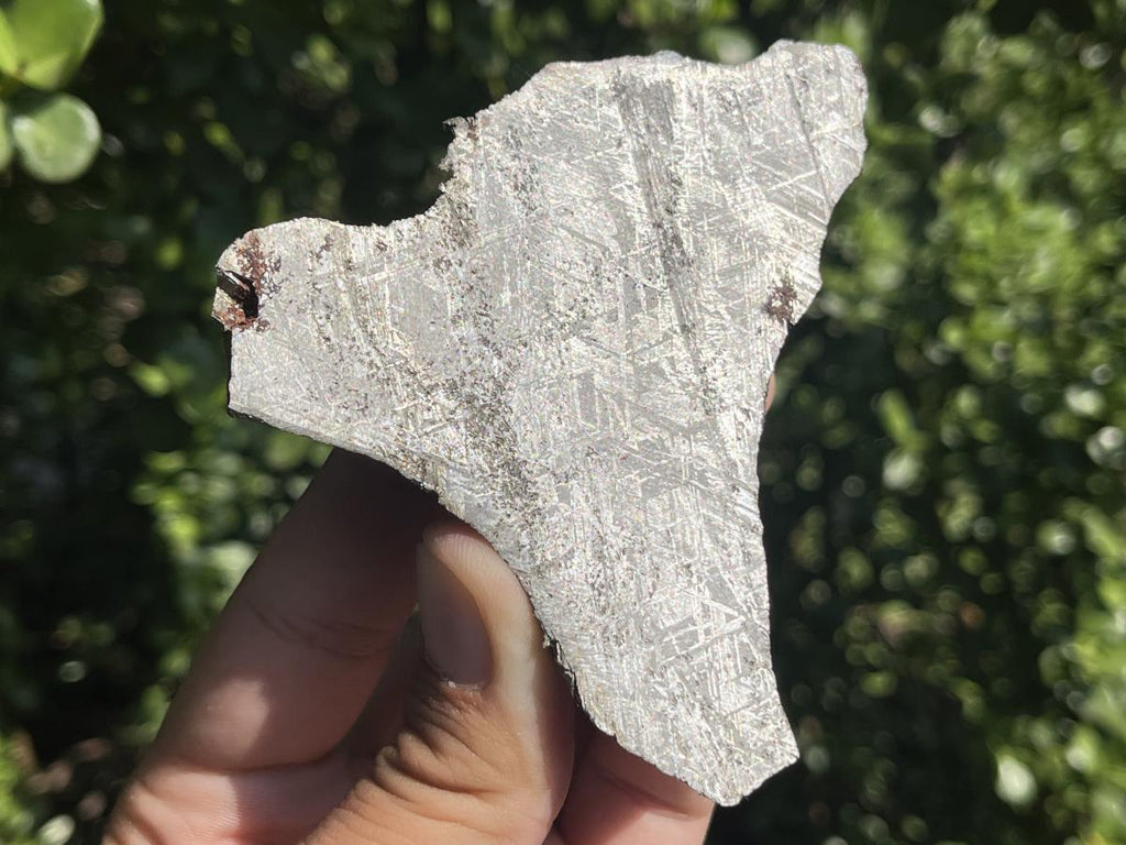 Natural 4 Billion Year Old Iron Gibeon Meteorite Slice x 1 From Gibeon, Namibia