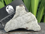 Natural 4 Billion Year Old Iron Gibeon Meteorite Slice x 1 From Gibeon, Namibia