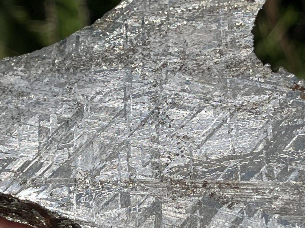 Natural 4 Billion Year Old Iron Gibeon Meteorite Slice x 1 From Gibeon, Namibia