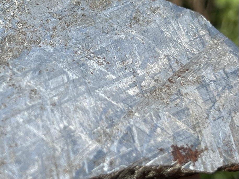 Natural 4 Billion Year Old Iron Gibeon Meteorite Slice x 1 From Gibeon, Namibia