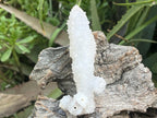 Natural Snow Finger Quartz Specimen x 1 From Albert's Mountain, Lesotho