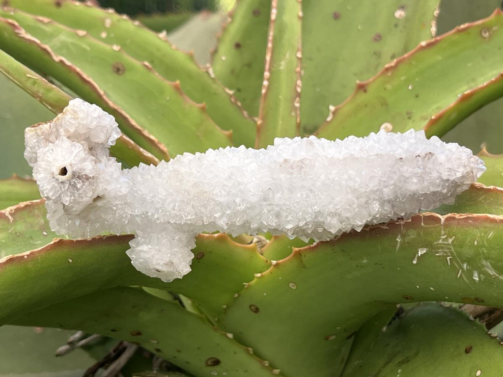 Natural Snow Finger Quartz Specimen x 1 From Albert's Mountain, Lesotho