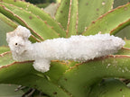 Natural Snow Finger Quartz Specimen x 1 From Albert's Mountain, Lesotho