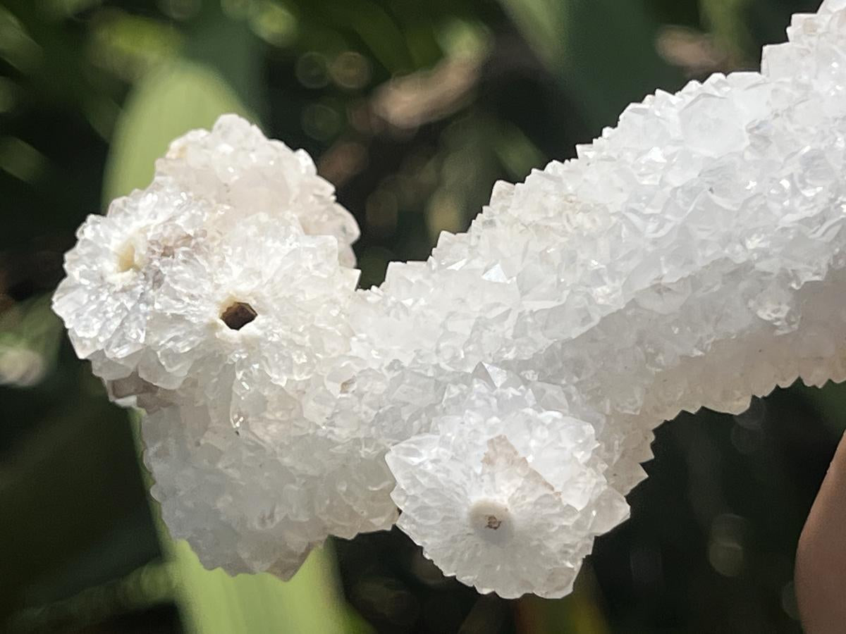 Natural Snow Finger Quartz Specimen x 1 From Albert's Mountain, Lesotho