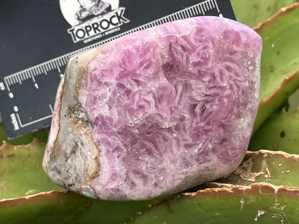 Polished Super Rare Gemmy Pink Cobaltion Calcite on Dolomite Specimen x 1 From Congo