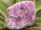 Polished Super Rare Gemmy Pink Cobaltion Calcite on Dolomite Specimen x 1 From Congo