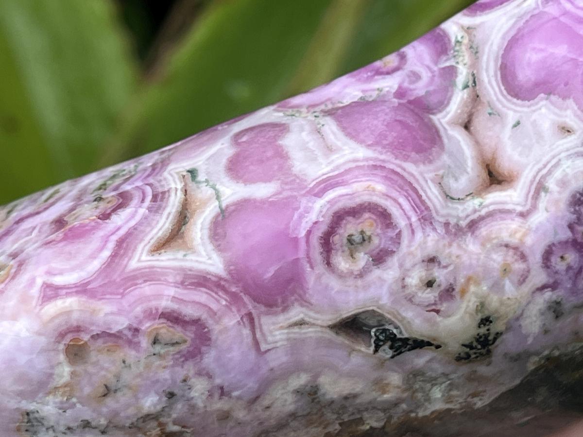 Polished Rare Cobaltion Aragonite on Dolomite Free Form x 1 From Congo