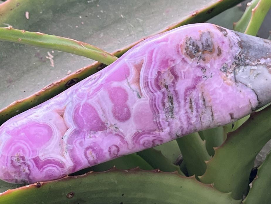 Polished Rare Cobaltion Aragonite on Dolomite Free Form x 1 From Congo