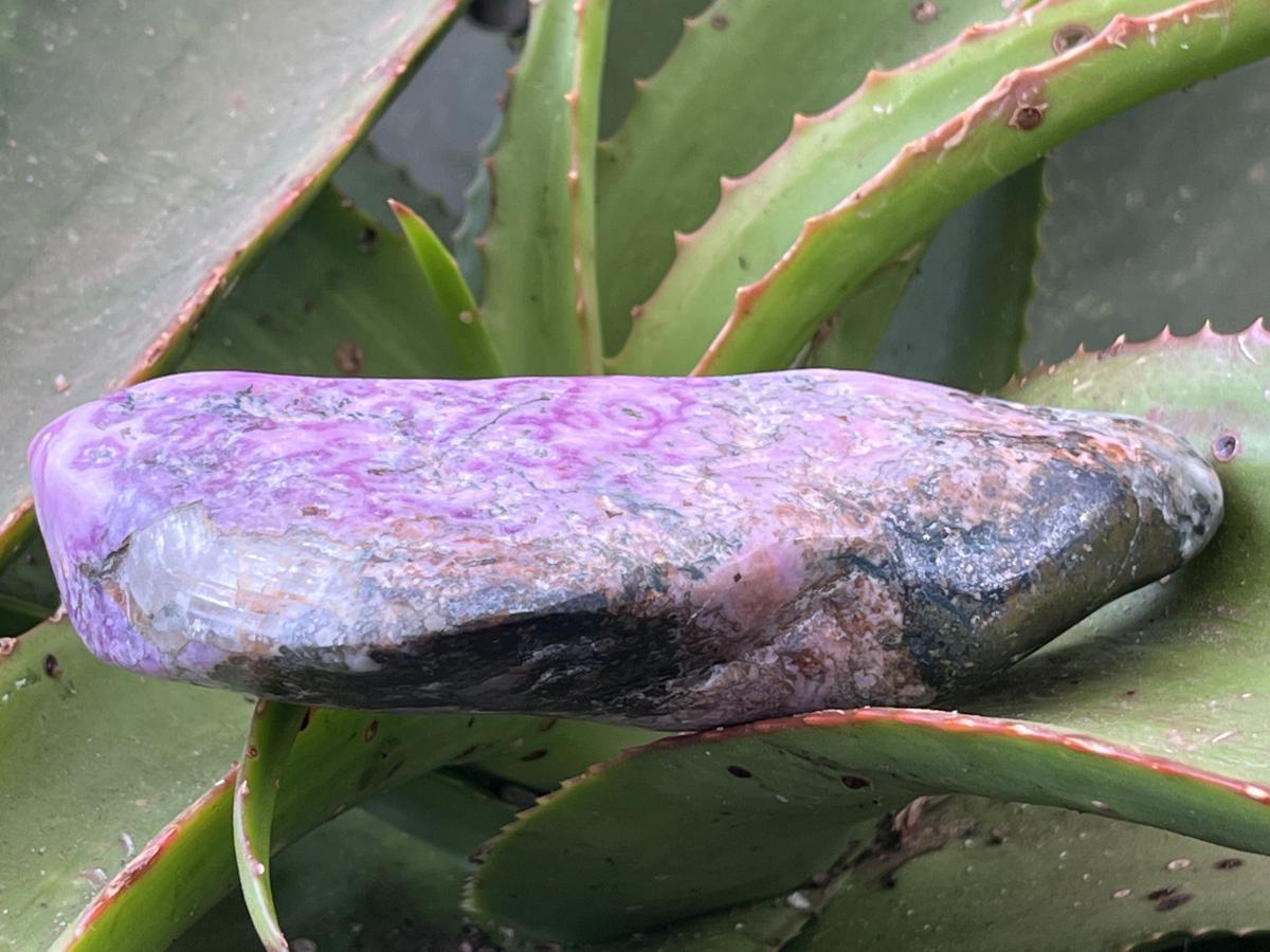Polished Rare Cobaltion Aragonite on Dolomite Free Form x 1 From Congo