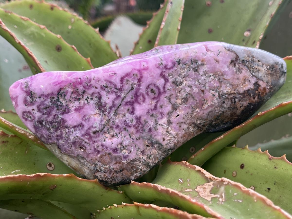 Polished Rare Cobaltion Aragonite on Dolomite Free Form x 1 From Congo