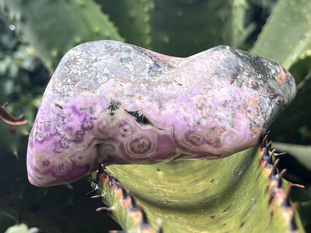 Polished Rare Cobaltion Aragonite on Dolomite Free Form x 1 From Congo