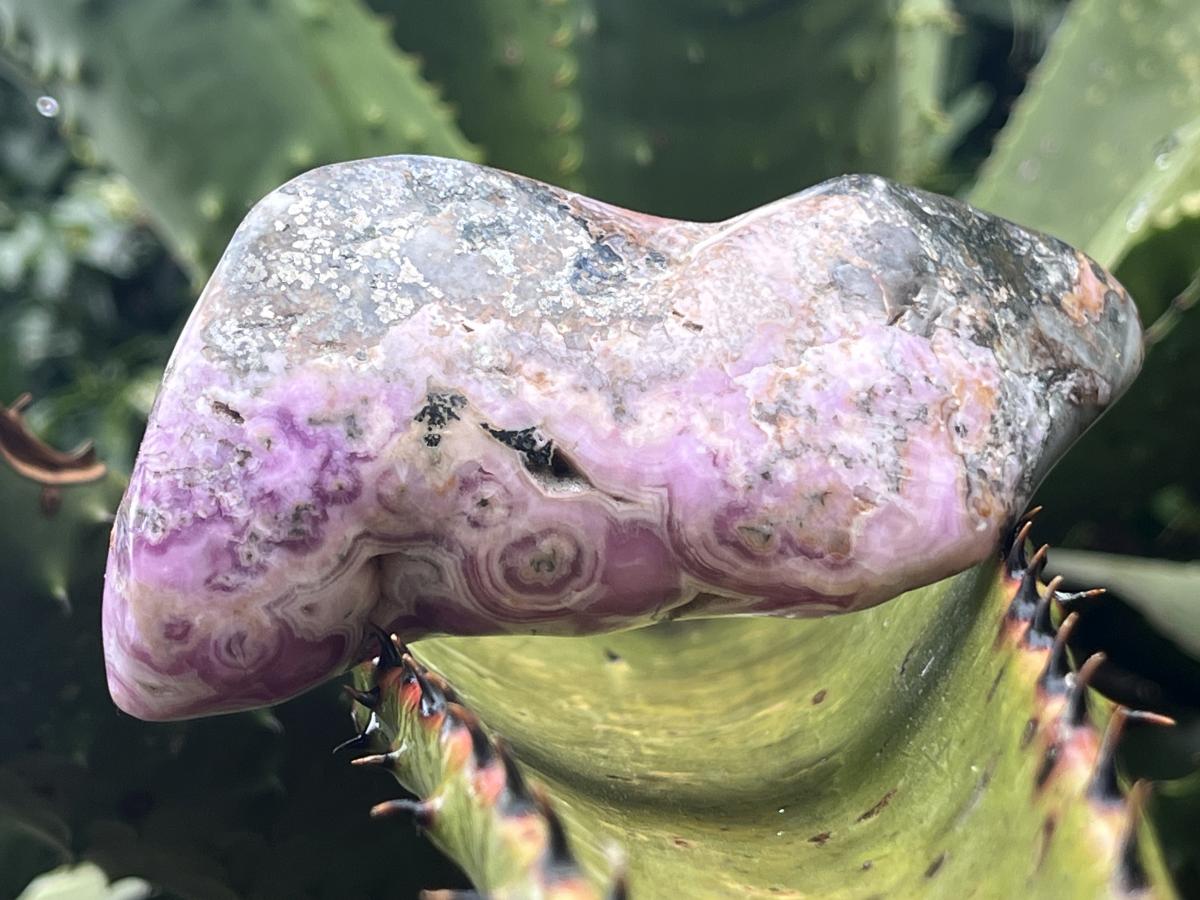 Polished Rare Cobaltion Aragonite on Dolomite Free Form x 1 From Congo