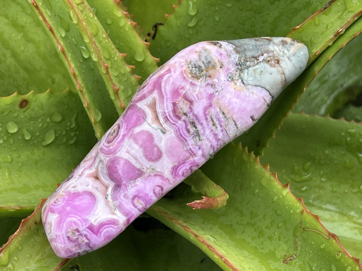 Polished Rare Cobaltion Aragonite on Dolomite Free Form x 1 From Congo