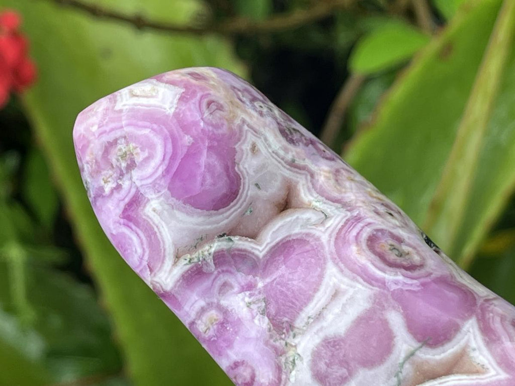 Polished Rare Cobaltion Aragonite on Dolomite Free Form x 1 From Congo