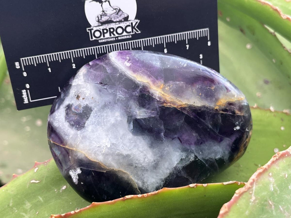 Polished Large Watermelon Fluorite Palm Stone x 1 From Uis, Namibia